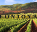 Les vignerons de Fonjoya